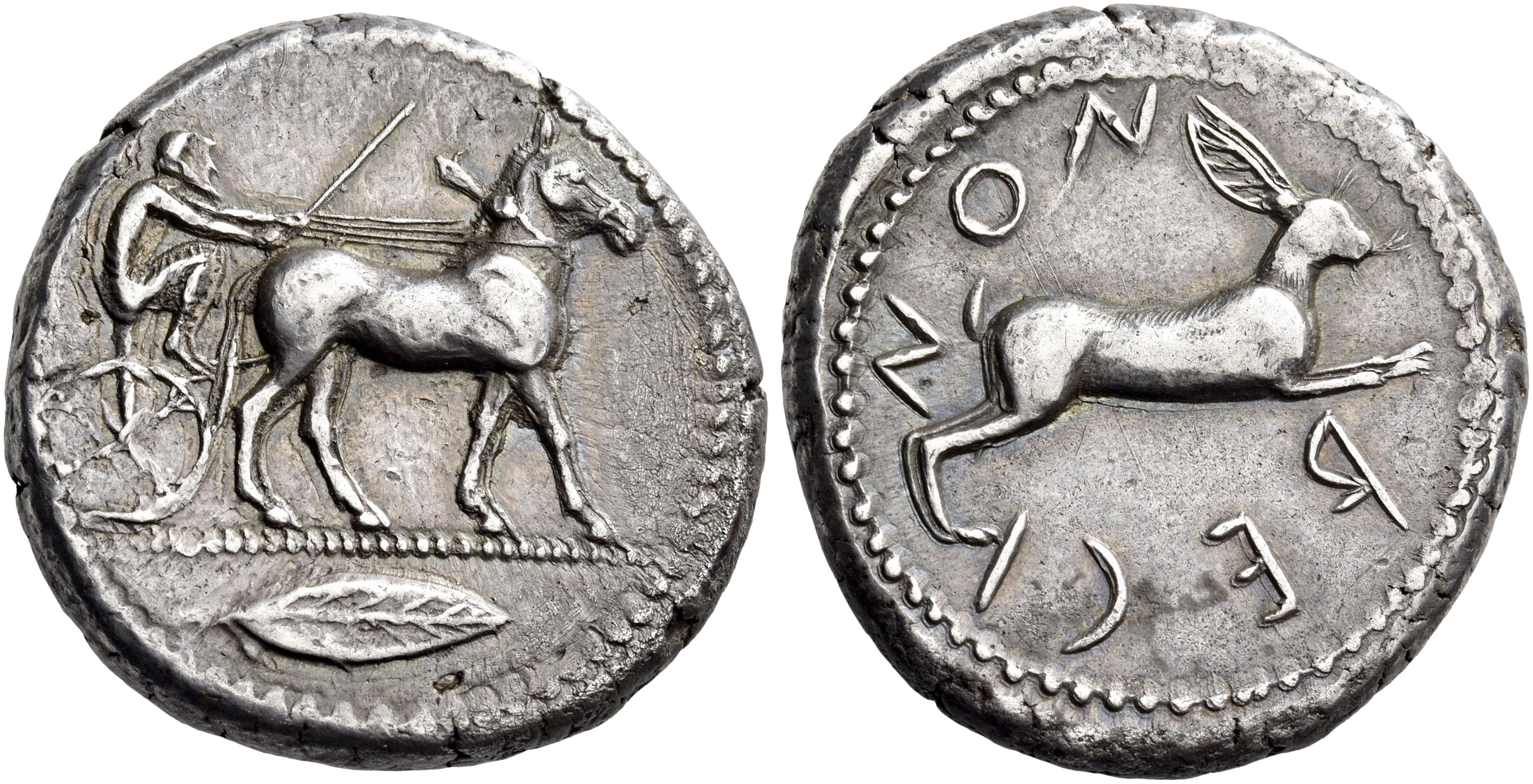 Anassila seconda fase Reggio