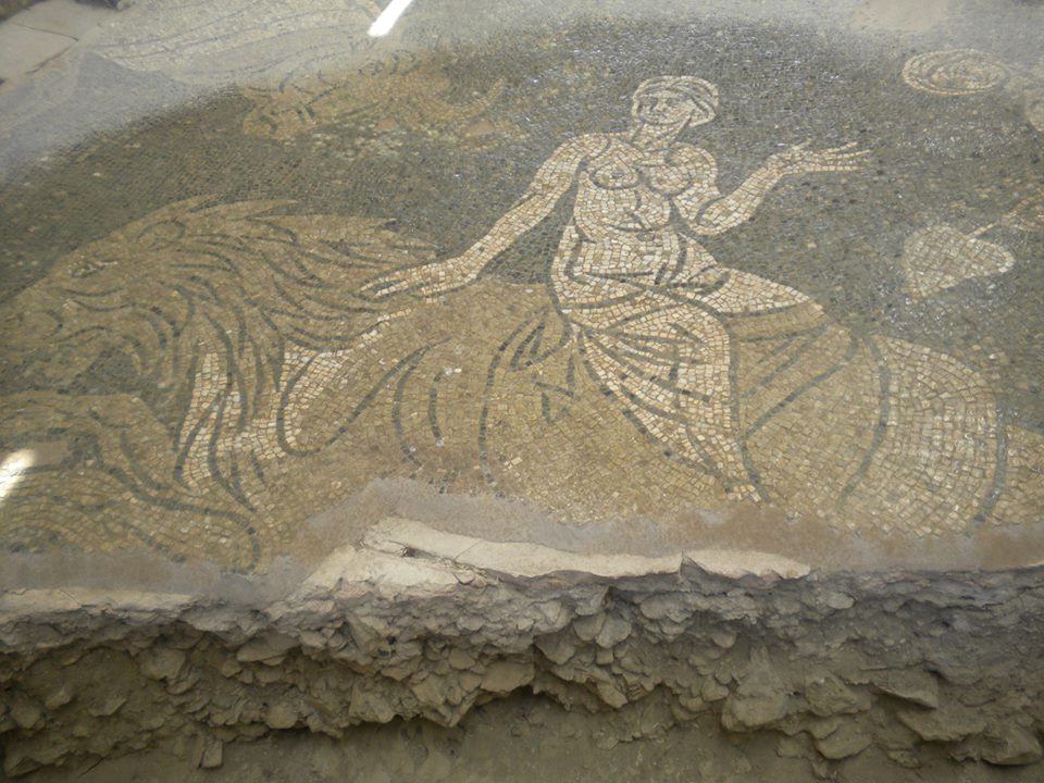 Sala delle Nereidi Casignana